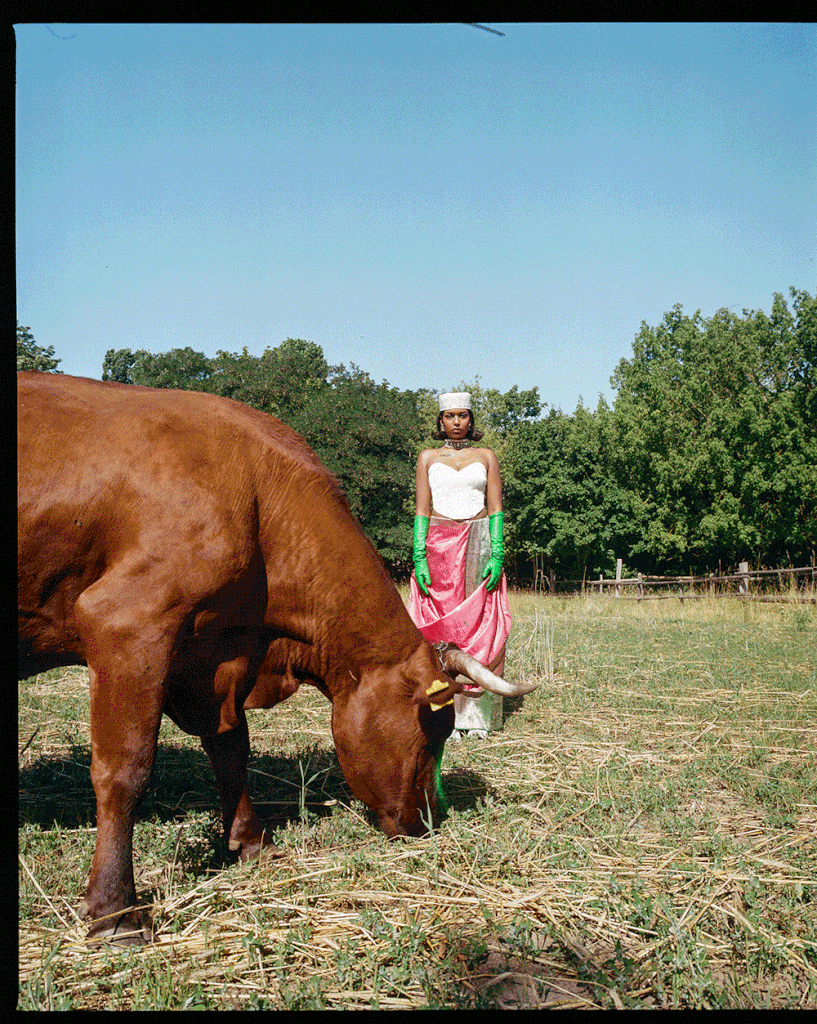 GIF aus zwei Bildern von Pia Ahmed in einem Sari-ähnlichen Rock und weißen Korsett auf einer Wiese mit einer braunen Kuh.